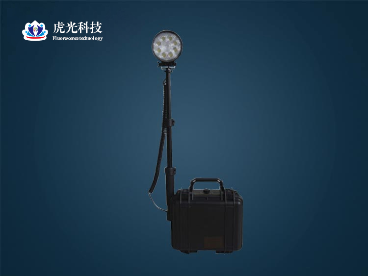 1531734954162911.jpg 47.jpg