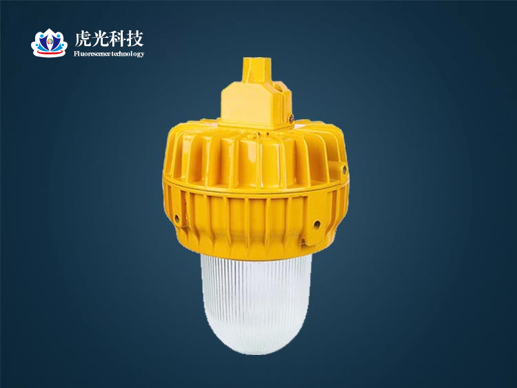 1531893779215975.jpg 5.jpg